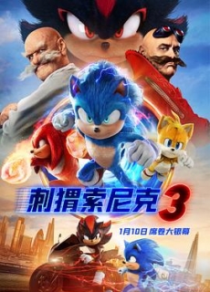 刺猬索尼克3 Sonic the Hedgehog 3 (2024)