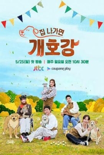出门就是狗狗乐园 집나가면 개호강 (2025)
